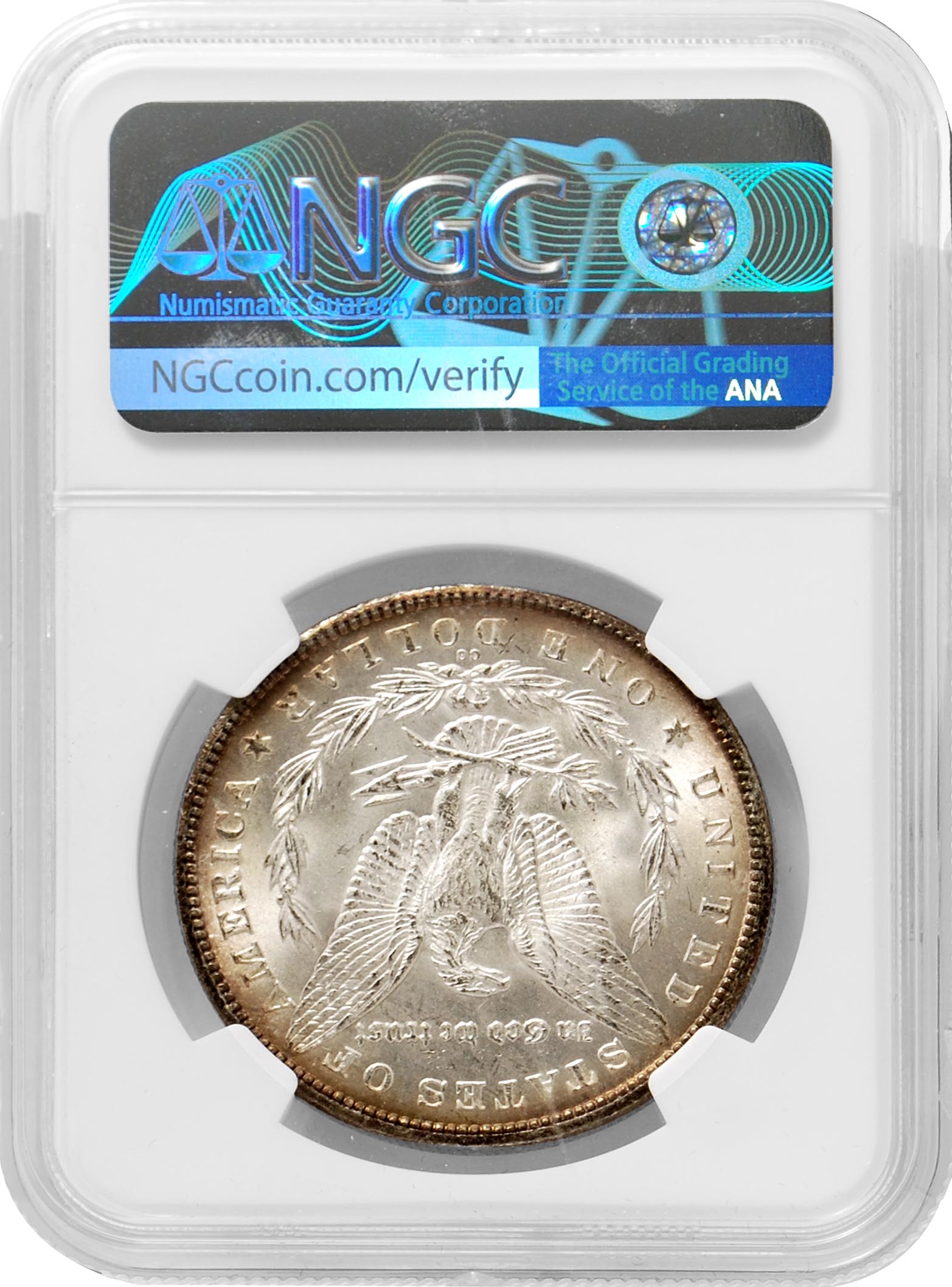 1880 CC Morgan Dollar NGC MS63 Mint Error Obverse Struck Thru