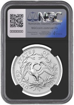 2024 FLOWING HAIR SILVER MS70 ADV REL MOY/RYDER