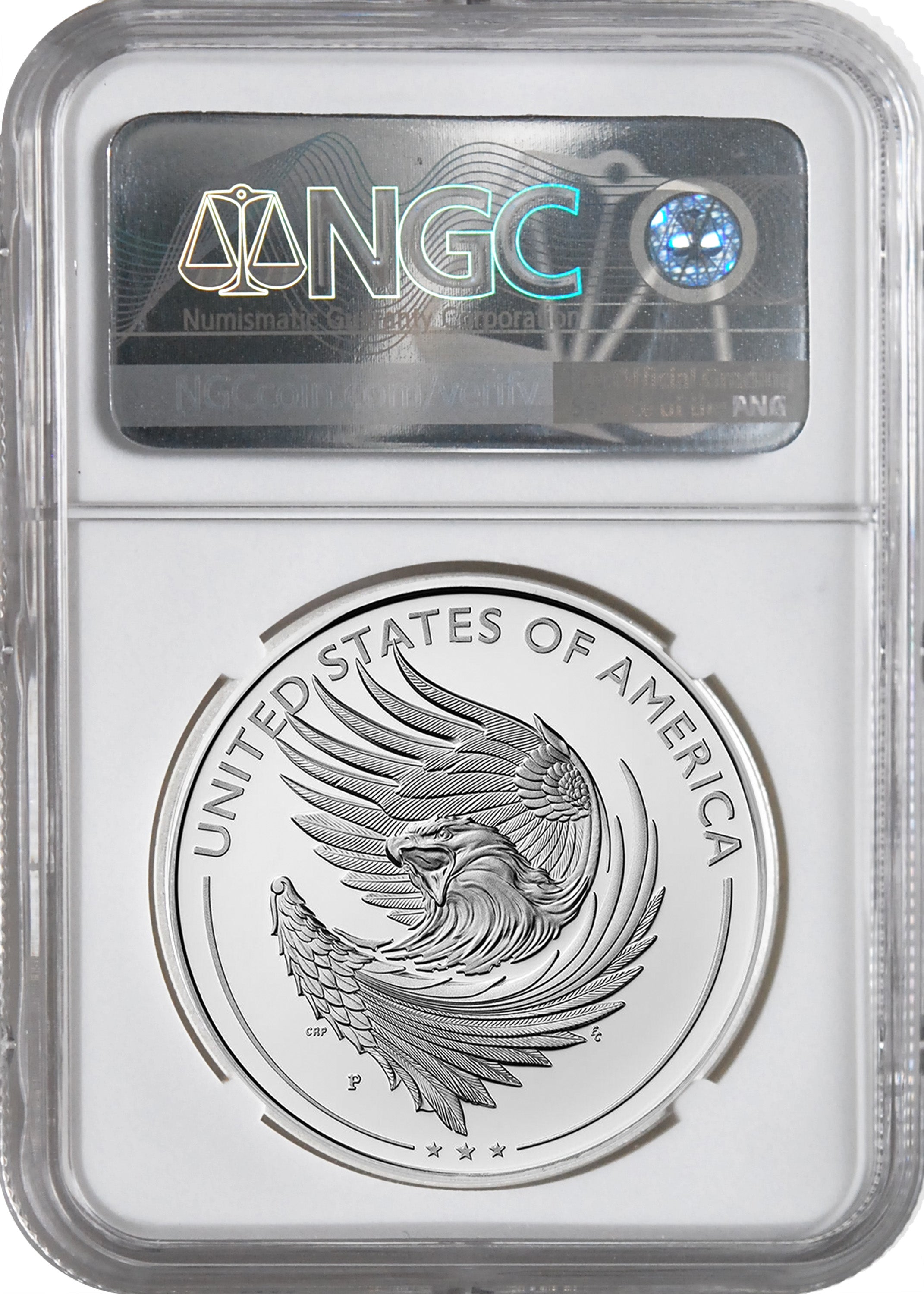 2025 AR SILVER SUNFLOWER PF70 MOY/RYDER
