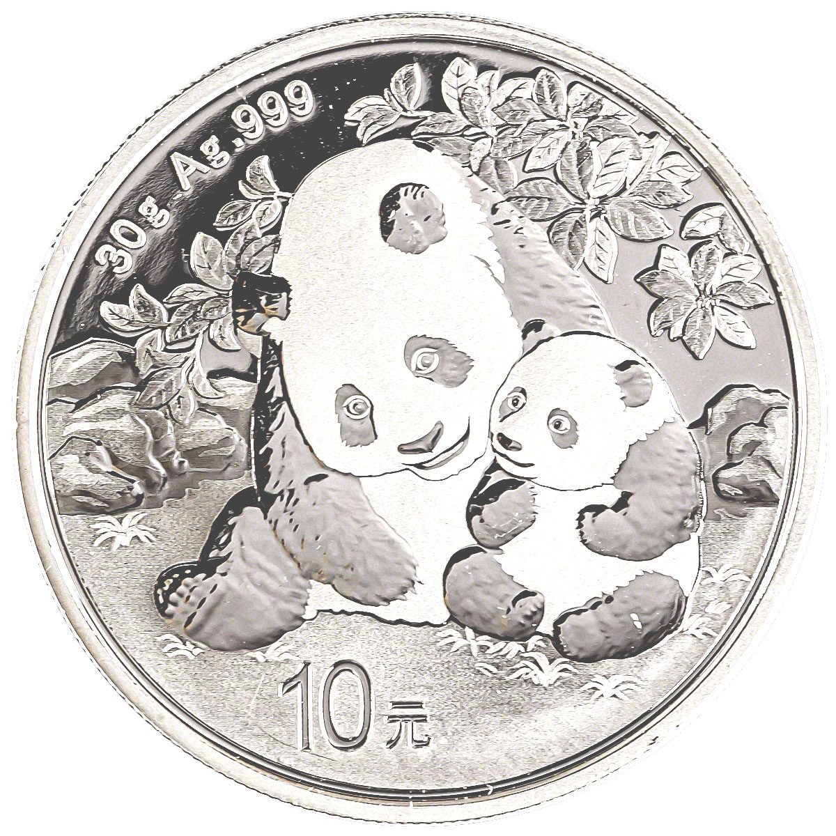 2024 China 30-gram Silver Panda